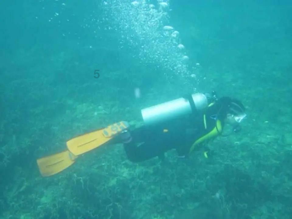 衡水男子坐电梯开门瞬间遭狗头怼脸,带狗坐电梯的时候要注意什么?-知识星球平台,发现你的更多可能